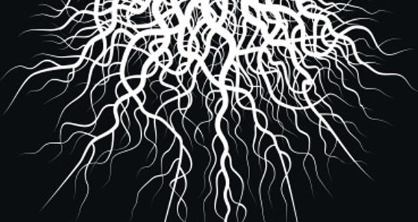 Jamroots (Jamroots)
